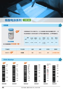 分子生物學(xué)甄選產(chǎn)品促銷(xiāo)專(zhuān)輯 生工生物引領(lǐng)生命科學(xué)產(chǎn)品與技術(shù)服務(wù)新浪潮