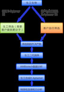 生工生物推出核酸適配體篩選試劑盒與服務(wù)，預(yù)訂享6折優(yōu)惠